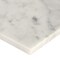 Msi Carrara White SAMPLE Polished Marble Floor And Wall Tile ZOR-NS-0066-SAM - alternate 4